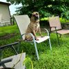 charlieboy6979