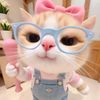 _chik4aa_