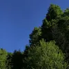 ____jwv.7