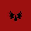 im_anormalperson