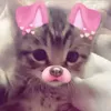 fzhjeli__