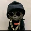 subikshyashah5