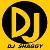 dj_shaggy_254