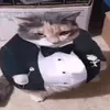 kenznoname