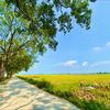 yeu_cuoc_song_0315