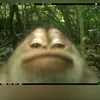 obre_4_en