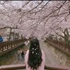 aqeela__29
