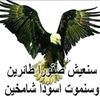 user5365091469188