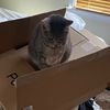 ikedb