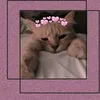 francinete320