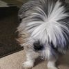 melterwithbert