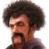 tio_hogan