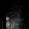 dakan_55