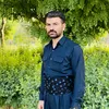 mlko_dlshad22