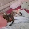 lina_6991