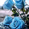 user2807640730136
