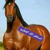user832022086512