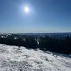 t_southy28