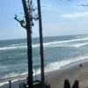 naima_samir5