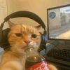 gosu.ac