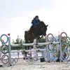 dc._sporthorses_