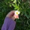 luvnnl
