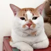 andyhusada1