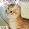 meowymix20