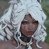clever_bun