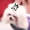 mellamokiddy