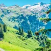missdoudou7