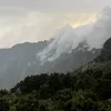 alasseri3nz