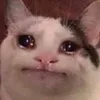 suxjjdhsud