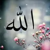 mohammedibrahim17s