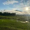 unghoangsao73