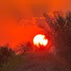 uae_nature_love