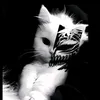 arian_265