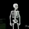 memexd51