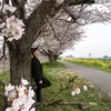 viet_kieu.dom.37h1