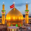 mujahidhussain3933