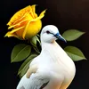 malak_albaraka