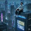 Udintingting