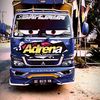 panda23920