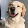 doseofmeeko