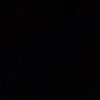 maral_maral6553