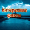 Интересные факты