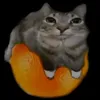 qwert1234.exe