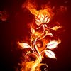 silent_flamey