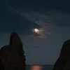 l_f_r20
