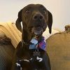 emdoggandog